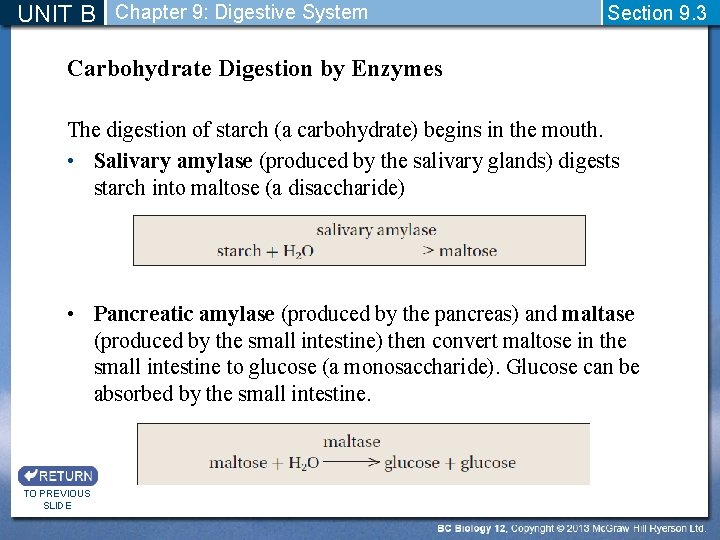UNIT B Chapter 9: Digestive System Section 9. 3 Carbohydrate Digestion by Enzymes The