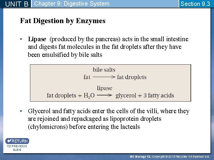 UNIT B Chapter 9: Digestive System Section 9. 3 Fat Digestion by Enzymes •