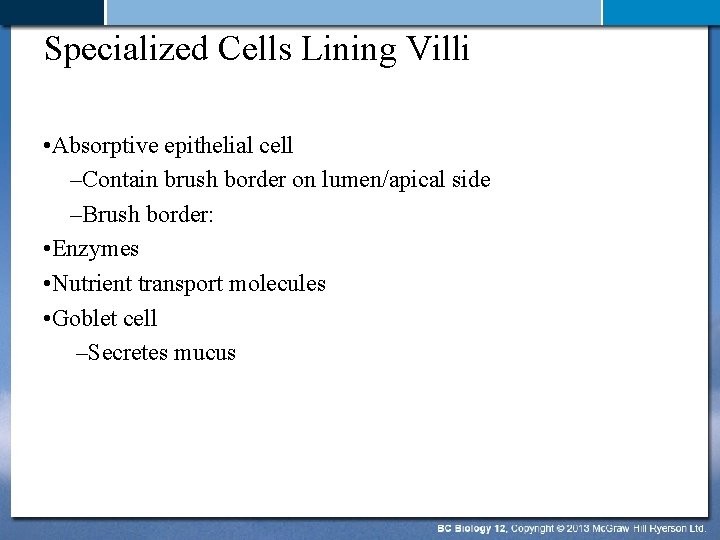 Specialized Cells Lining Villi • Absorptive epithelial cell –Contain brush border on lumen/apical side