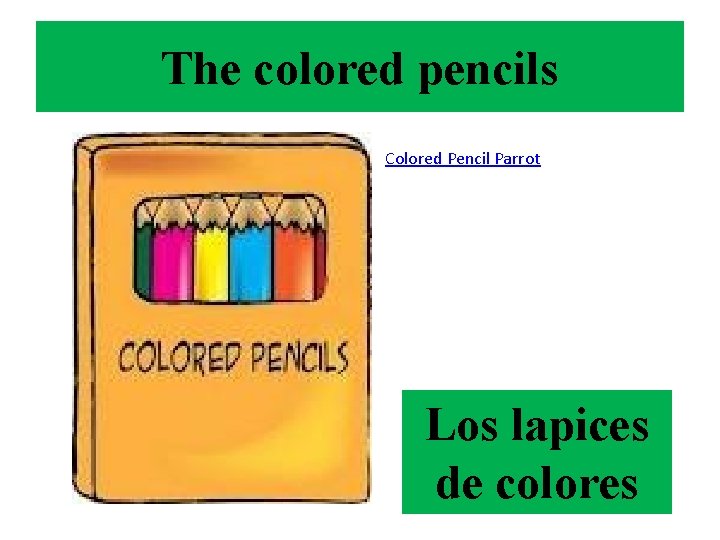 The colored pencils Colored Pencil Parrot Los lapices de colores 