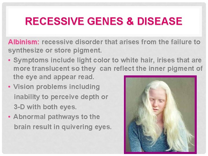 RECESSIVE GENES & DISEASE Albinism: recessive disorder that arises from the failure to synthesize