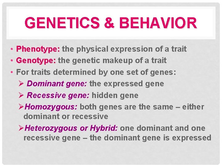 GENETICS & BEHAVIOR • Phenotype: the physical expression of a trait • Genotype: the