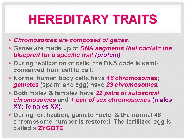 HEREDITARY TRAITS • Chromosomes are composed of genes. • Genes are made up of