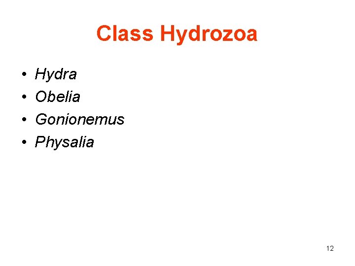 Class Hydrozoa • • Hydra Obelia Gonionemus Physalia 12 