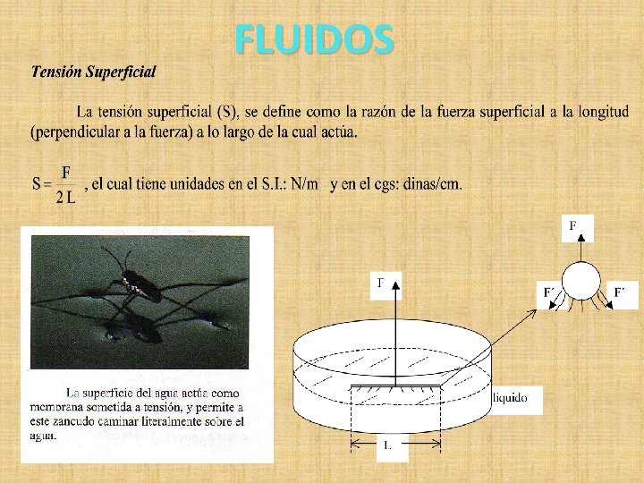 FLUIDOS 