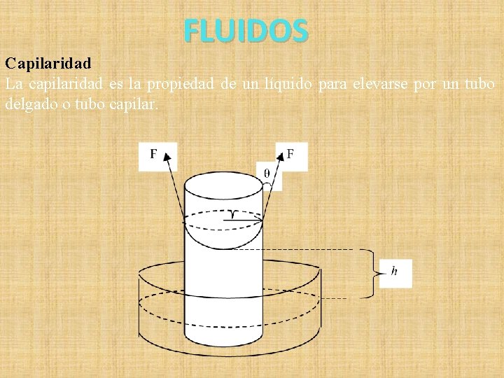 FLUIDOS Capilaridad La capilaridad es la propiedad de un líquido para elevarse por un