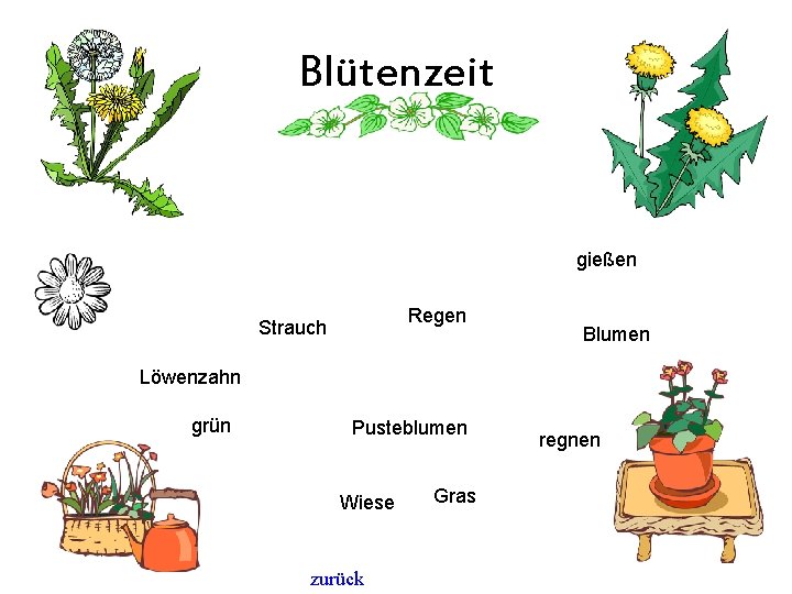 Blütenzeit gießen Regen Strauch Blumen Löwenzahn grün Pusteblumen Wiese zurück Gras regnen 