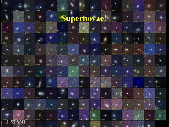 Supernovae! Supernovae © SDSSII Bruno Leibundgut 