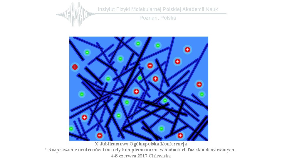 Instytut Fizyki Molekularnej Polskiej Akademii Nauk Poznań, Polska X Jubileuszowa Ogólnopolska Konferencja "Rozpraszanie neutronów