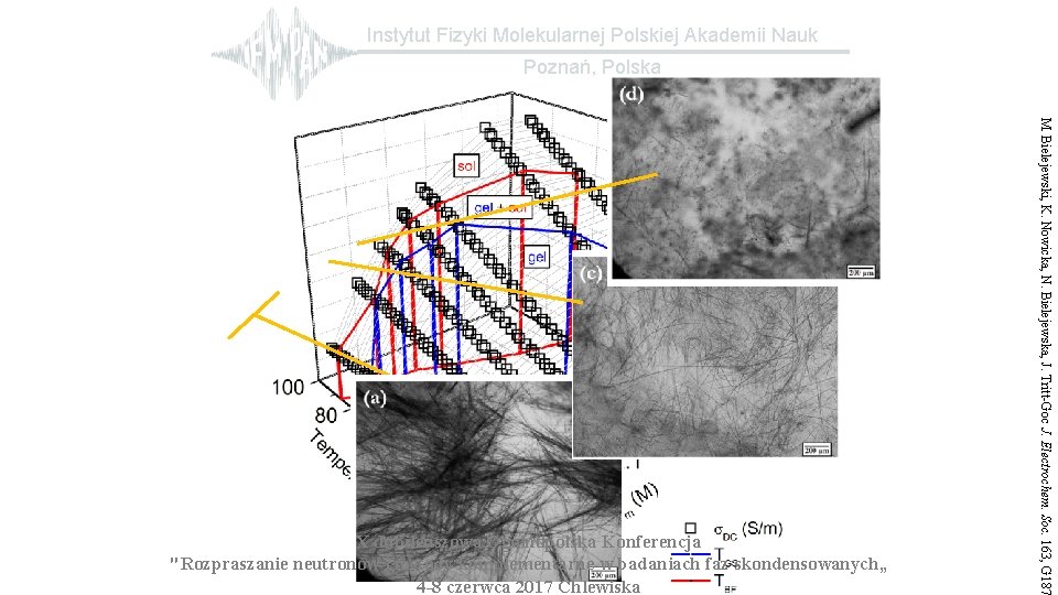 Instytut Fizyki Molekularnej Polskiej Akademii Nauk Poznań, Polska M. Bielejewski, K. Nowicka, N. Bielejewska,