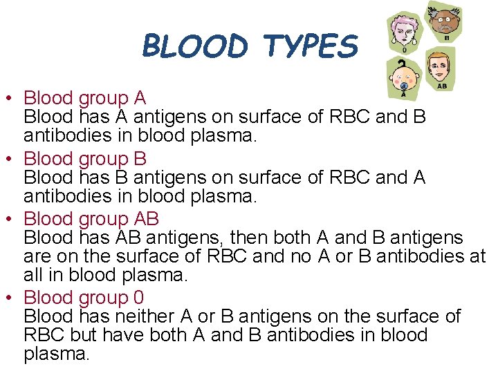 BLOOD TYPES • Blood group A Blood has A antigens on surface of RBC