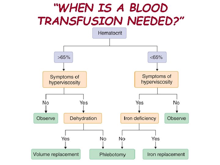 “WHEN IS A BLOOD TRANSFUSION NEEDED? ” 