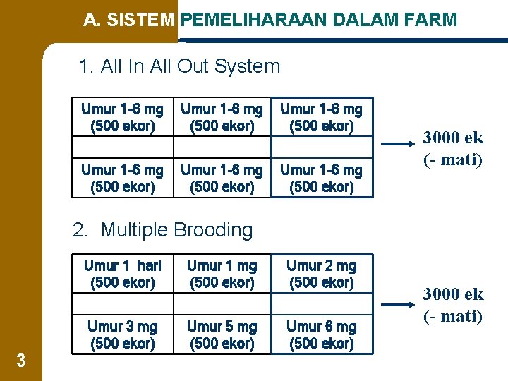 A. SISTEM PEMELIHARAAN DALAM FARM 1. All In All Out System Umur 1 -6