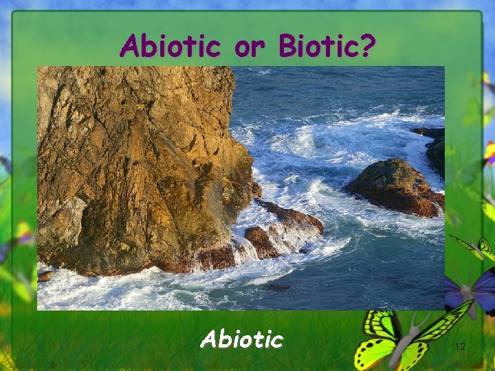 Abiotic or Biotic? Abiotic 12 