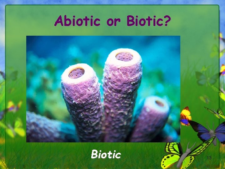 Abiotic or Biotic? Biotic 13 