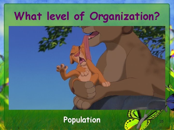 What level of Organization? Population 25 