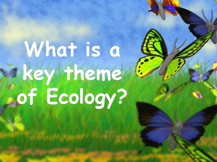 What is a key theme of Ecology? 5 