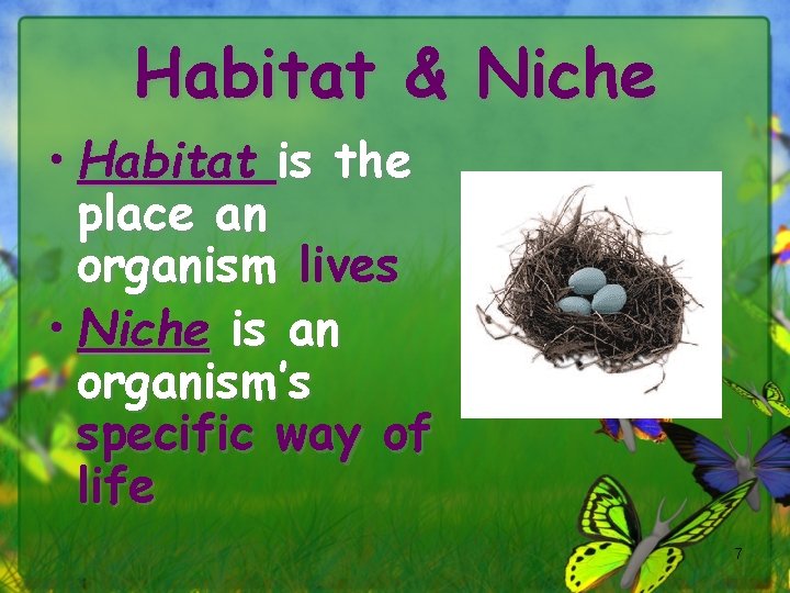 Habitat & Niche • Habitat is the place an organism lives • Niche is