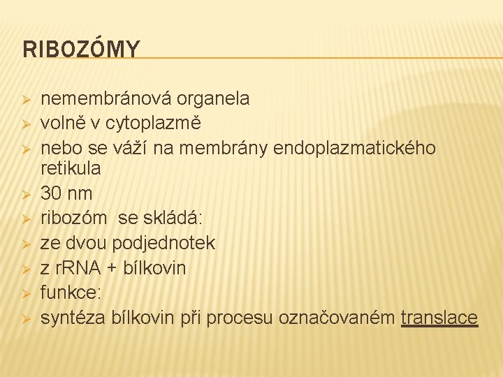 RIBOZÓMY Ø Ø Ø Ø Ø nemembránová organela volně v cytoplazmě nebo se váží