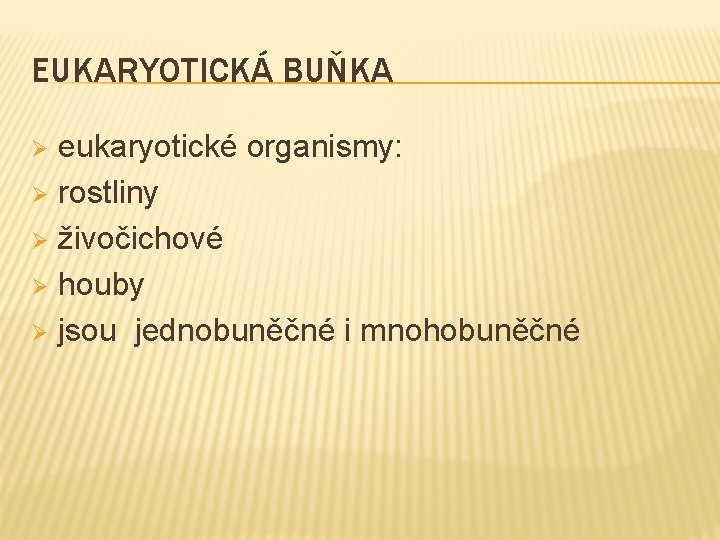 EUKARYOTICKÁ BUŇKA eukaryotické organismy: Ø rostliny Ø živočichové Ø houby Ø jsou jednobuněčné i