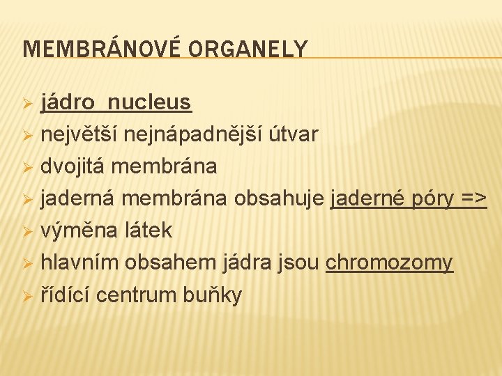 MEMBRÁNOVÉ ORGANELY jádro nucleus Ø největší nejnápadnější útvar Ø dvojitá membrána Ø jaderná membrána