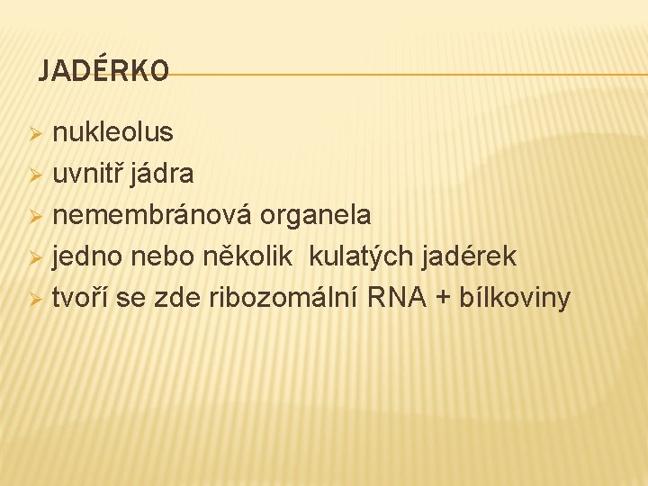 JADÉRKO nukleolus Ø uvnitř jádra Ø nemembránová organela Ø jedno nebo několik kulatých jadérek