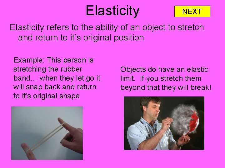 Elasticity NEXT Elasticity refers to the ability of an object to stretch and return