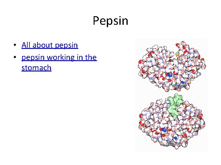 Pepsin • All about pepsin • pepsin working in the stomach 