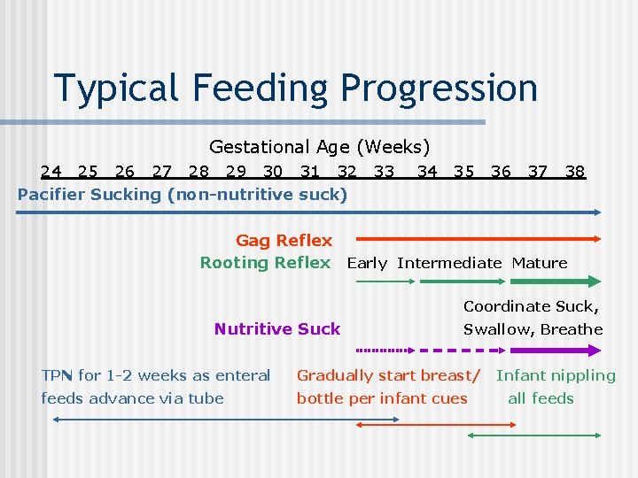 Typical Feeding Progression Gestational Age (Weeks) 24 25 26 27 28 29 30 31