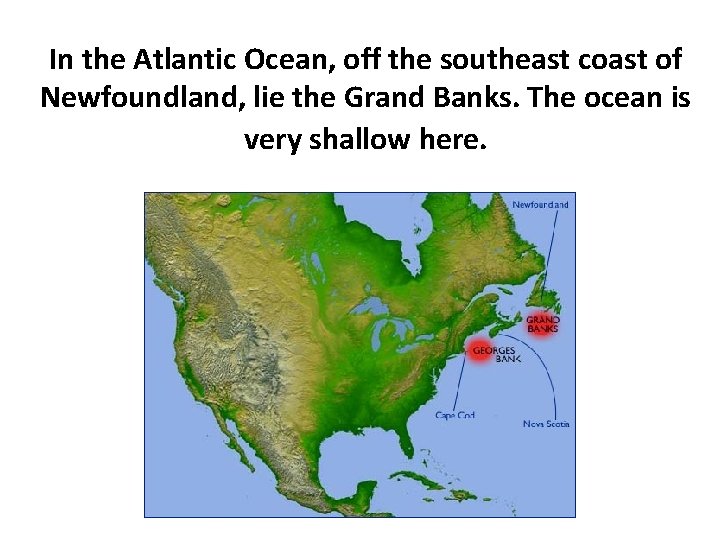 In the Atlantic Ocean, off the southeast coast of Newfoundland, lie the Grand Banks.