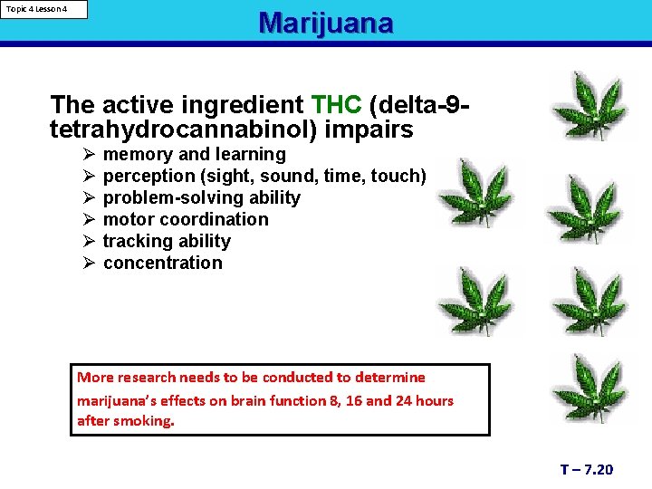 Topic 4 Lesson 4 Marijuana The active ingredient THC (delta-9 tetrahydrocannabinol) impairs Ø Ø