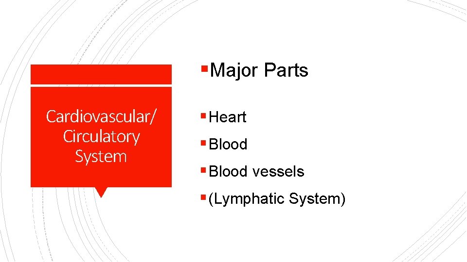 §Major Parts Cardiovascular/ Circulatory System § Heart § Blood vessels § (Lymphatic System) 