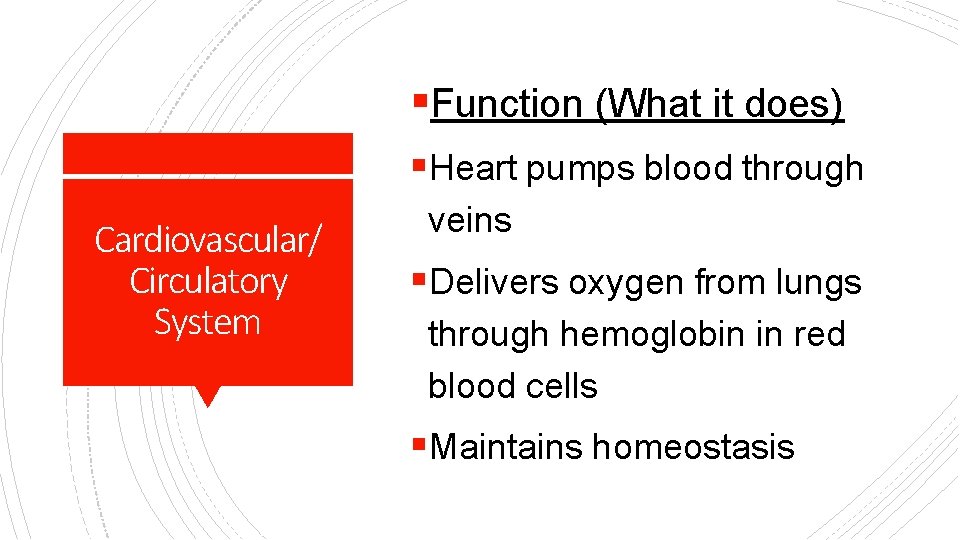 §Function (What it does) §Heart pumps blood through Cardiovascular/ Circulatory System veins §Delivers oxygen