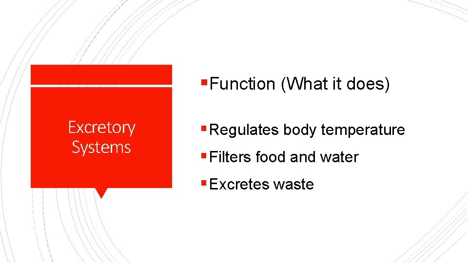 §Function (What it does) Excretory Systems § Regulates body temperature § Filters food and