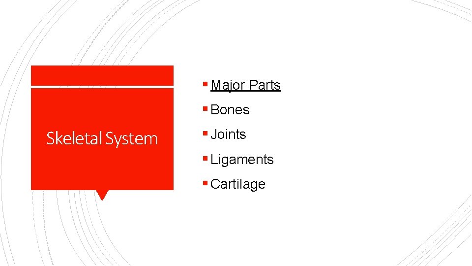 § Major Parts § Bones Skeletal System § Joints § Ligaments § Cartilage 