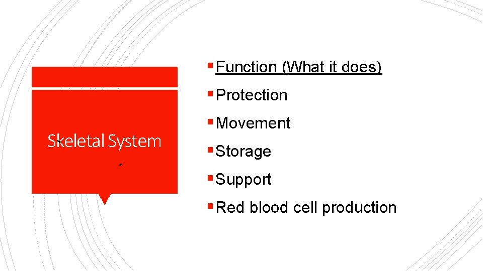 § Function (What it does) § Protection Skeletal System § Movement § Storage §