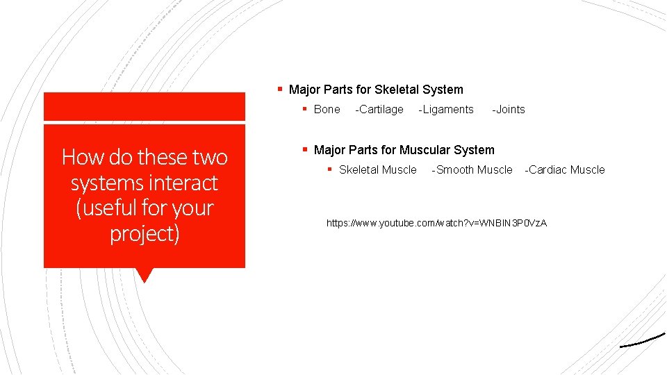 § Major Parts for Skeletal System § Bone How do these two systems interact