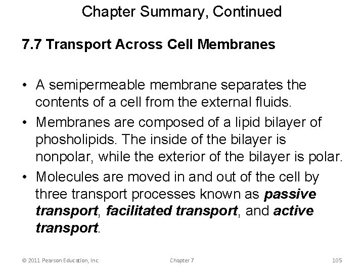 Chapter Summary, Continued 7. 7 Transport Across Cell Membranes • A semipermeable membrane separates
