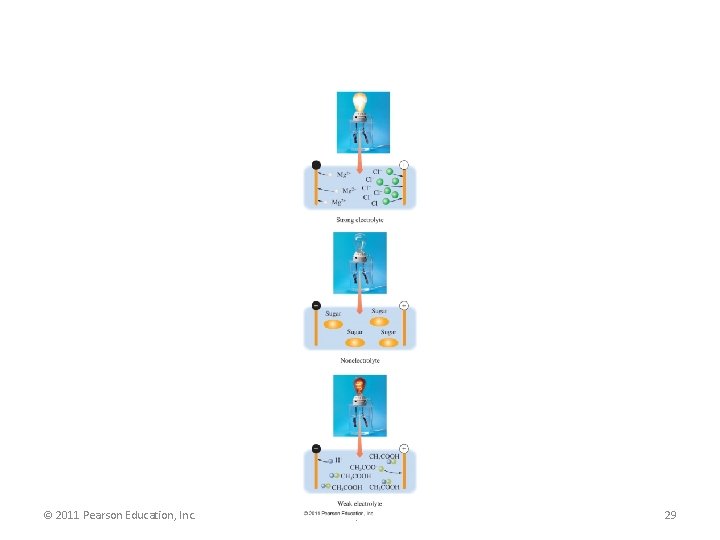 © 2011 Pearson Education, Inc. Chapter 7 29 