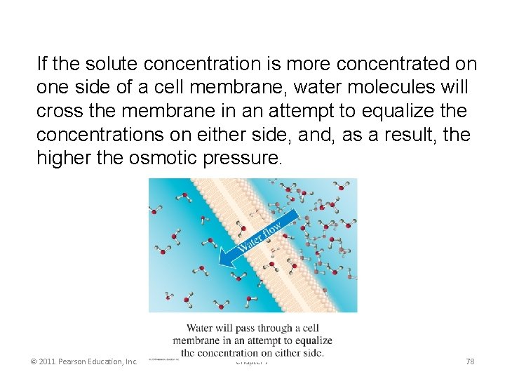 If the solute concentration is more concentrated on one side of a cell membrane,