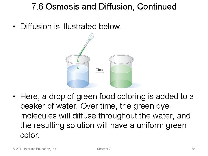 7. 6 Osmosis and Diffusion, Continued • Diffusion is illustrated below. • Here, a