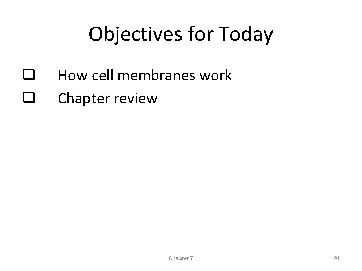 Objectives for Today q q How cell membranes work Chapter review Chapter 7 91