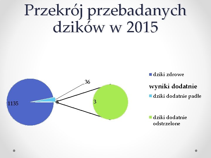 Przekrój przebadanych dzików w 2015 dziki zdrowe 36 1135 3 wyniki dodatnie 3 dziki