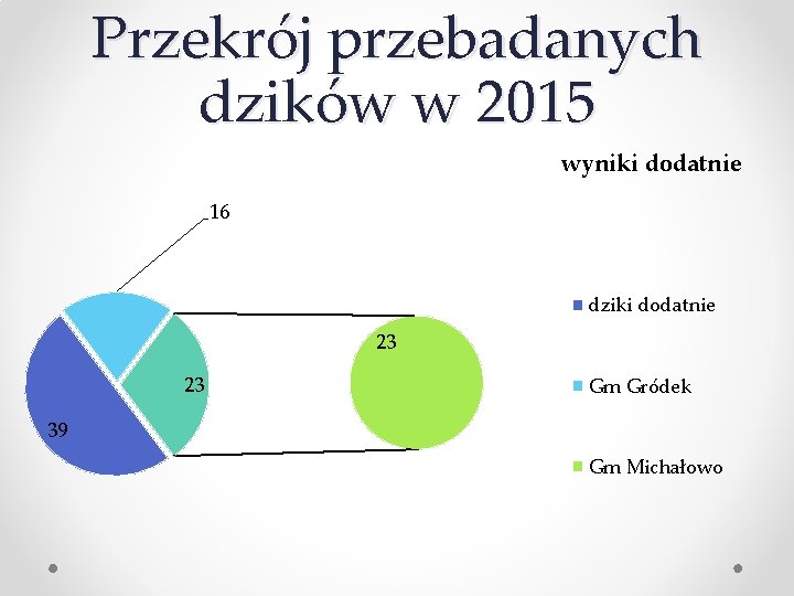 Przekrój przebadanych dzików w 2015 wyniki dodatnie 16 dziki dodatnie 23 23 Gm Gródek