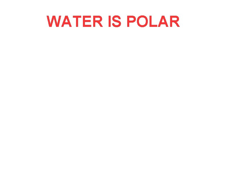 WATER IS POLAR 