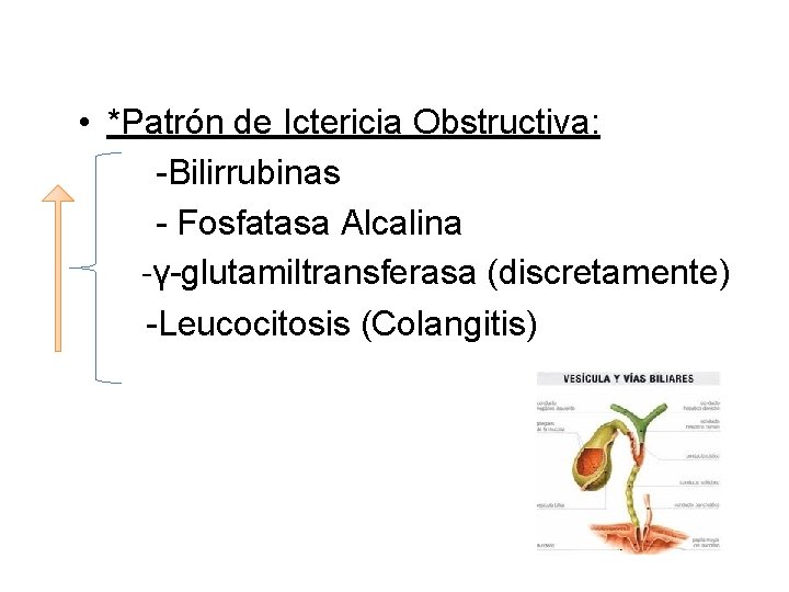  • *Patrón de Ictericia Obstructiva: -Bilirrubinas - Fosfatasa Alcalina -γ-glutamiltransferasa (discretamente) -Leucocitosis (Colangitis)