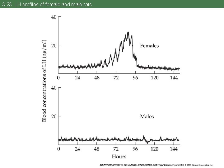3. 23 LH profiles of female and male rats 