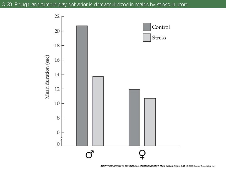3. 29 Rough-and-tumble play behavior is demasculinized in males by stress in utero 