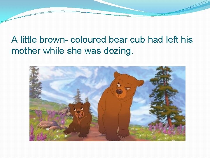 A little brown- coloured bear cub had left his mother while she was dozing.