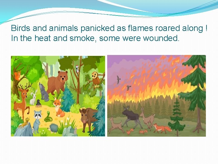 Birds and animals panicked as flames roared along ! In the heat and smoke,